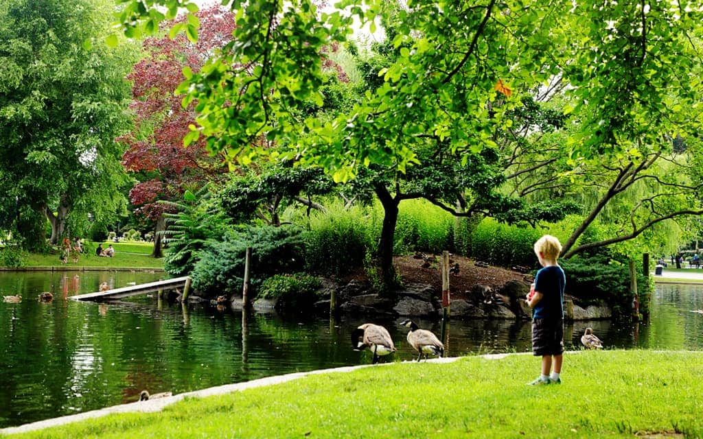 Boston Common, Photo by Keryn Means
