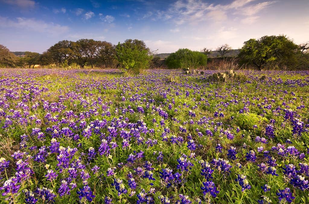 Fredericksburg, TX - Day Trips from Dallas