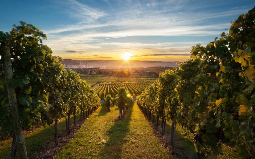 Under-The-Radar Honeymoon Destinations - Okanagan Valley, Canada