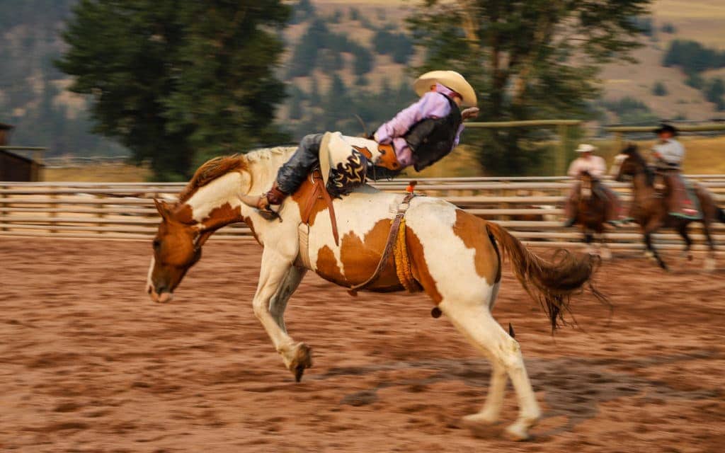 Montana - Ranch at Rock Creek Rodeo