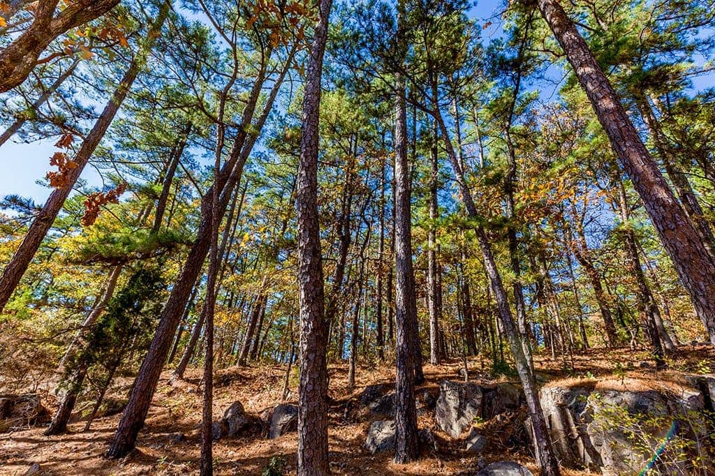 Robbers Cave State Park, Oklahoma