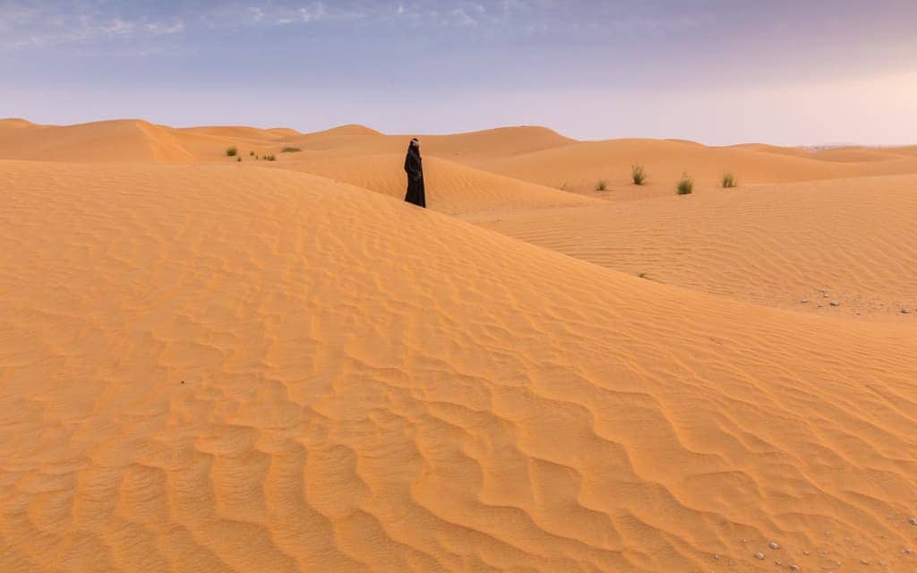 Breathtaking views: In the Dubai Desert Conservation Reserve