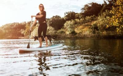 7(ish) Awesome Things to Do in Austin