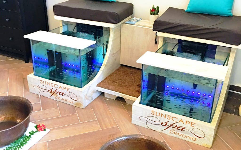 Fish spa pedicure at Sunscape Spa - Travelocity.com