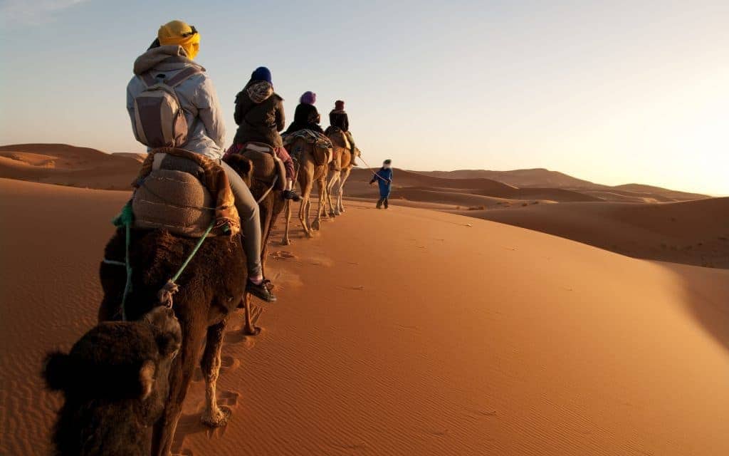 Tourists on train of camels in Sahara led by guide