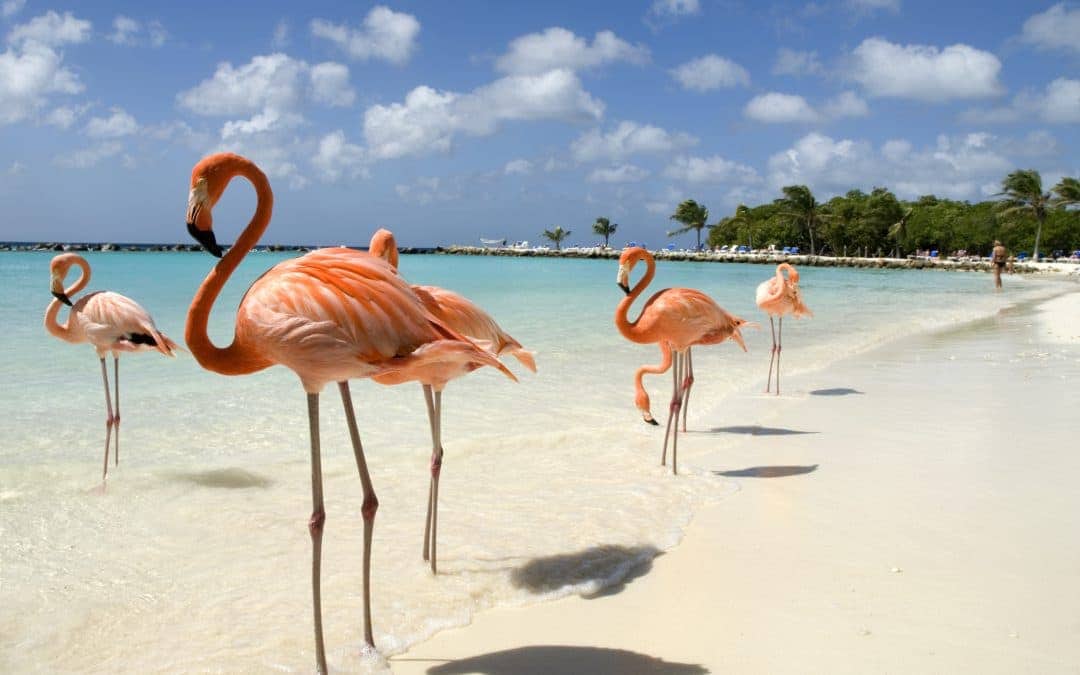 The Caribbean: Surprise, We’re Open for Business!