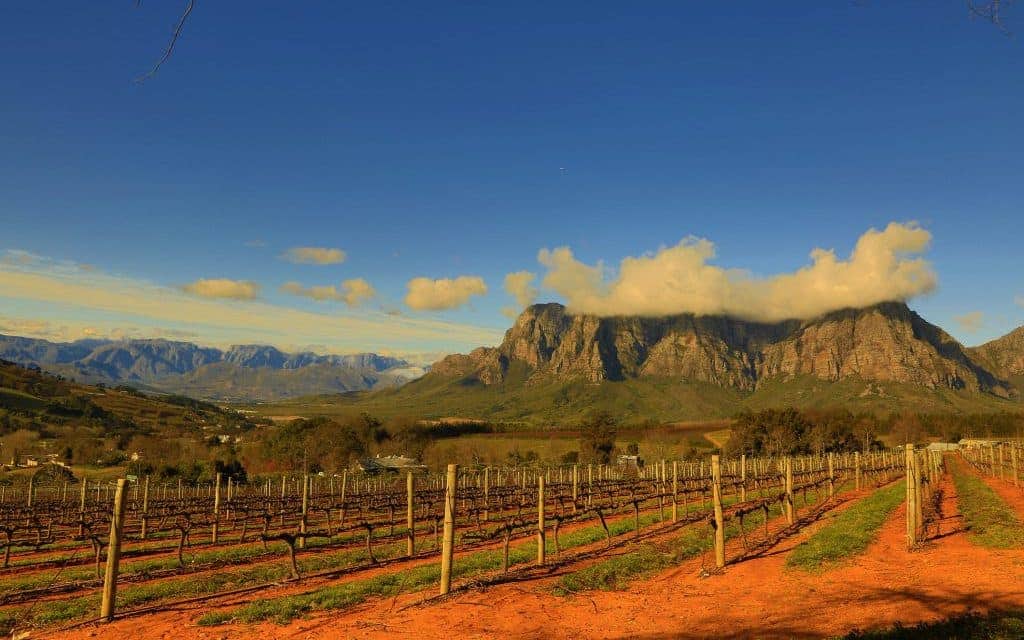 Stellenbosch is South Africa's wine and gourmet capital