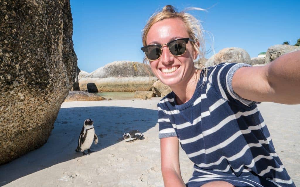 Black-footed Penguins at Boulders Beach Penguin Colony, Cape Town, South Africa.
