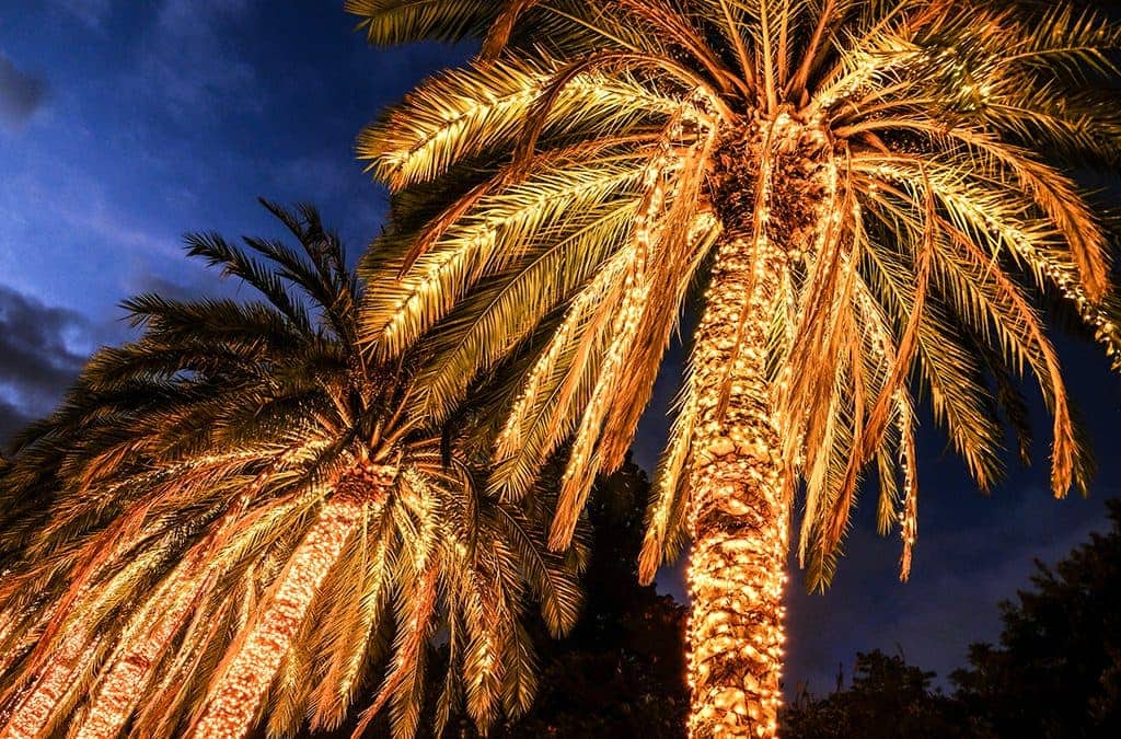 This is How You Celebrate the Holidays in Southern California