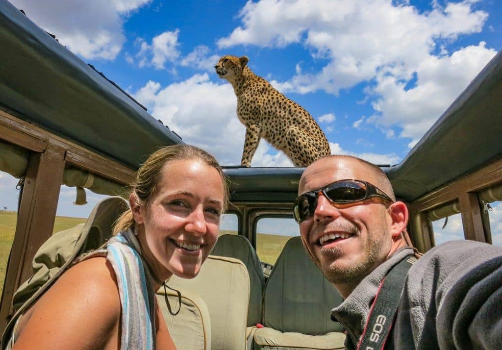 cheetah on roof
