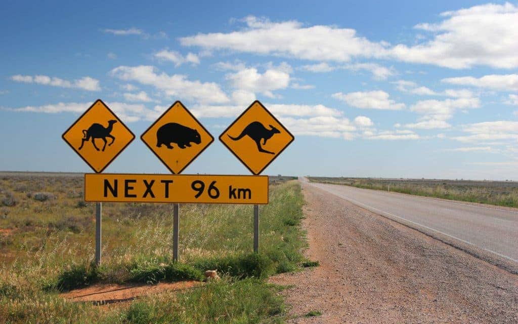 Warning signs for a camel, kangaroo and a wombat in the Australian Outback