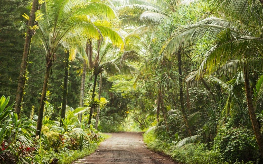 5 unique reasons we love Hawaii’s Big Island