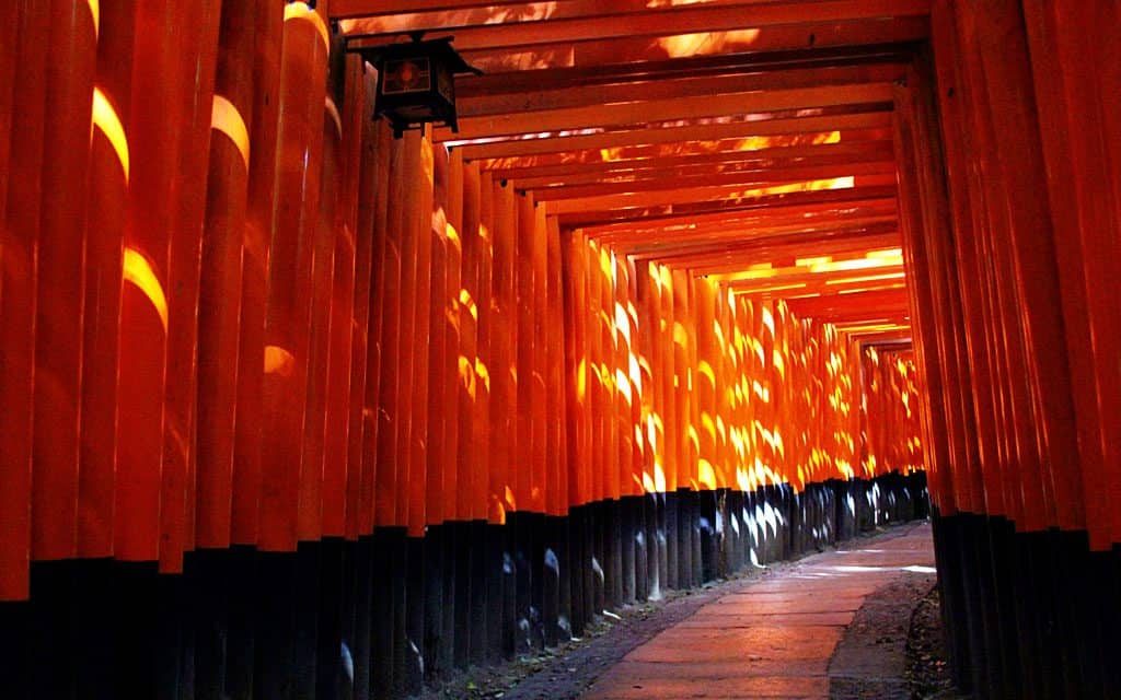 Kyoto Japan by Keryn Means