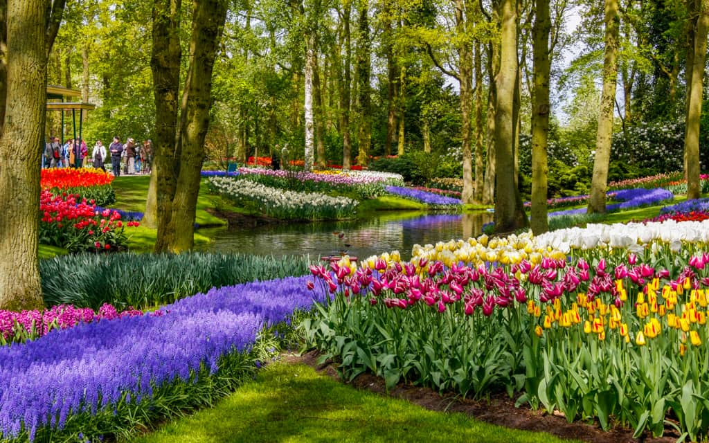 One of the most colorful places in the world is Keukenhof outside Amsterdam by Eric Stoen