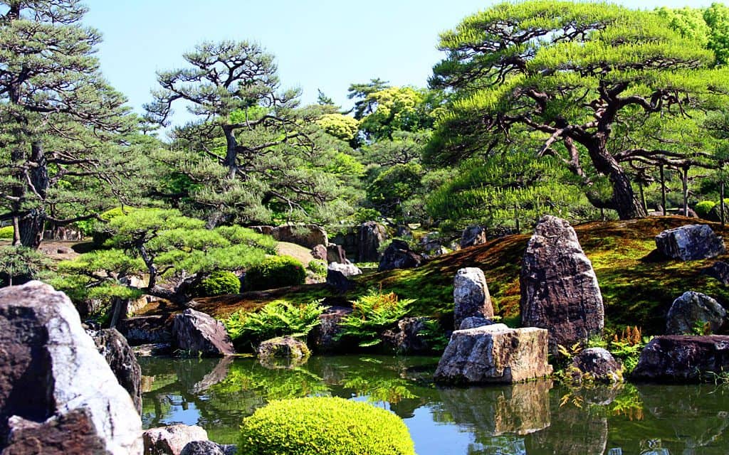 Kyoto Japan by Keryn Means
