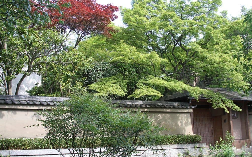 Kyoto Japan by Keryn Means