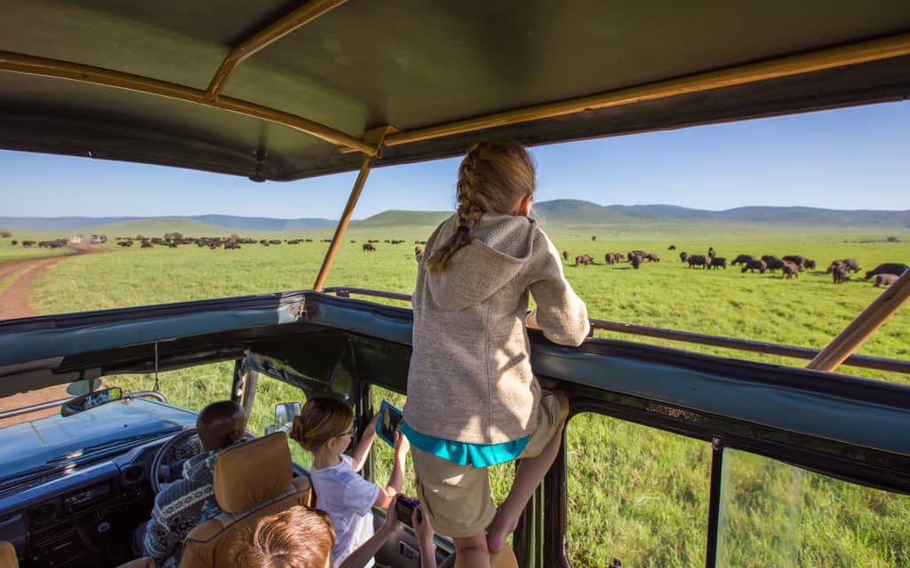 Family Travel 2018: No shortage of animals in the Ngorongoro Crater!