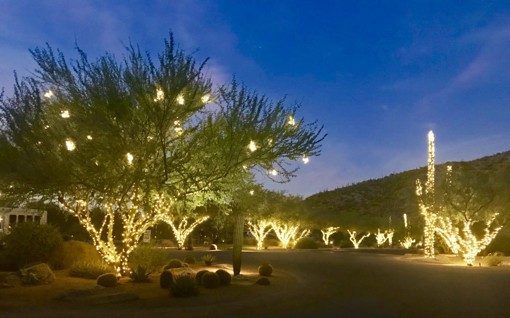 5 Idyllic Destinations to Unplug & Unwind - Tucson, Arizona
