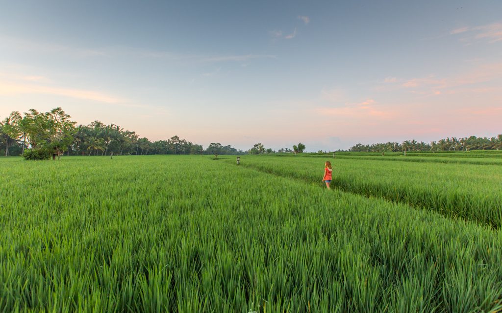 Vacation in Bali