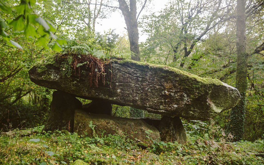 Ireland travel blog Sher She Goes