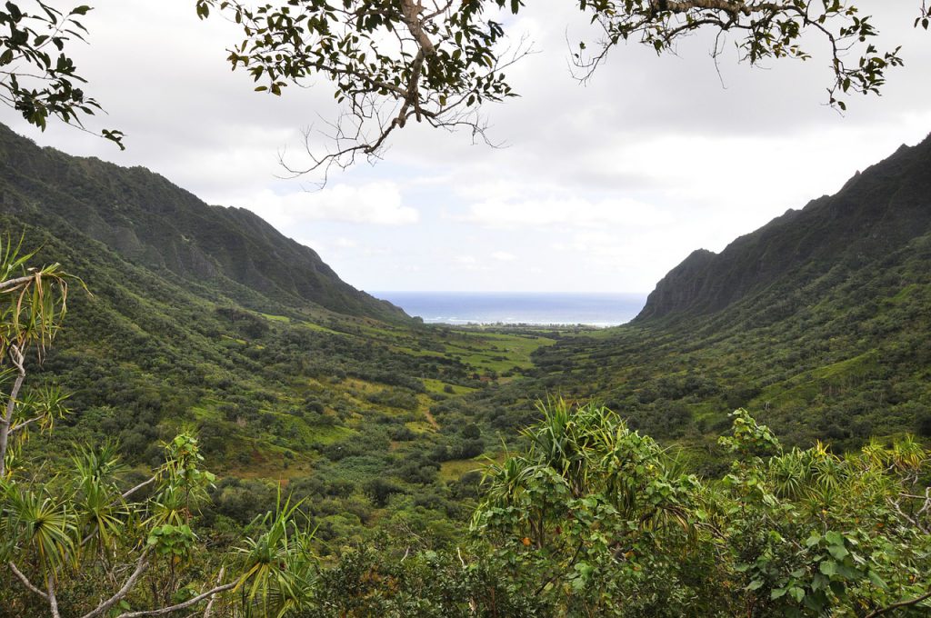 life-changing experiences in Oahu Kuala ATV and Movie Tours Oahu Hawaii