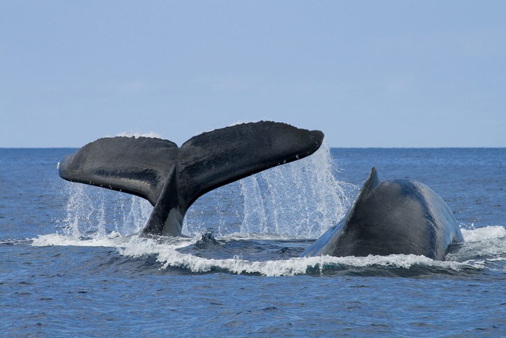life-changing experiences in Oahu