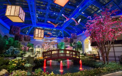 The best Las Vegas hotels based on your personality type