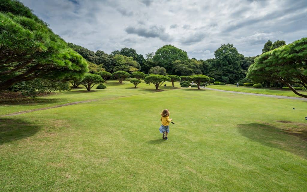 Tokyo travel:Running through the Shinjuku Gyoen National Garden