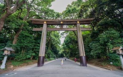 5 Places Not to Miss in Tokyo