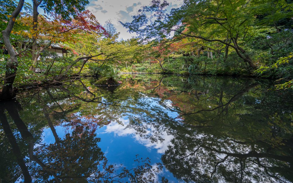 Tokyo Travel: At the Nezu Museum