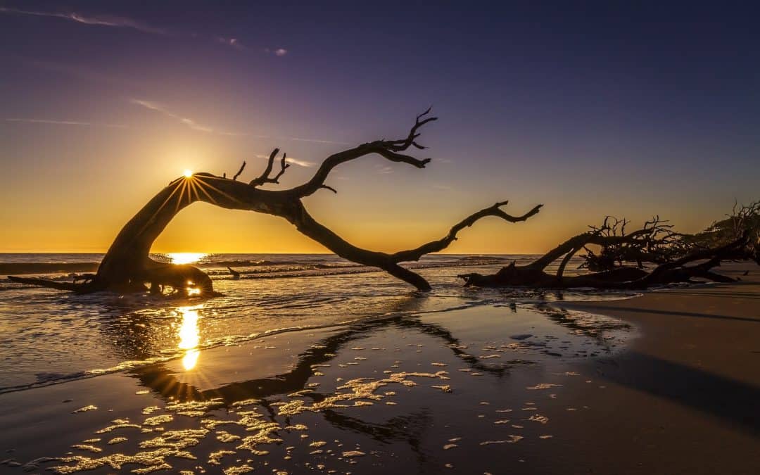 Best Under-the-Radar Spring Break Destinations for Families