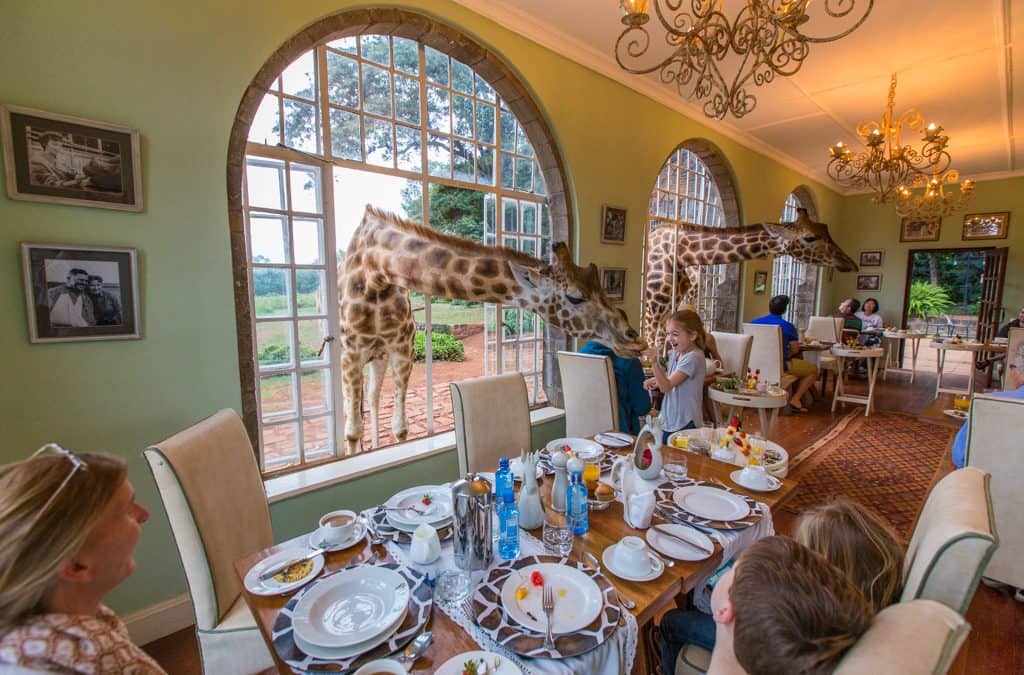 8 Amazing Hotels That Should Be on Your Bucket List