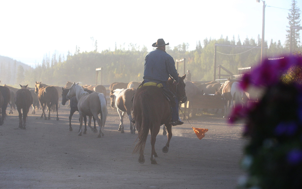 Visit a dude ranch