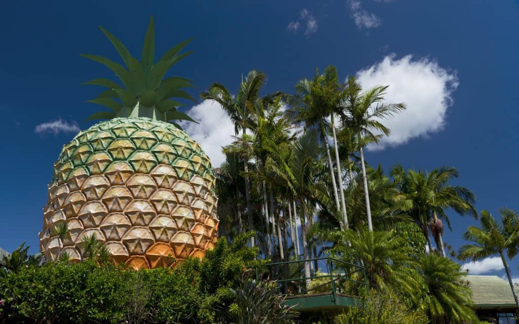 The Big Pineapple, a tourist attraction in Queensland, Australia