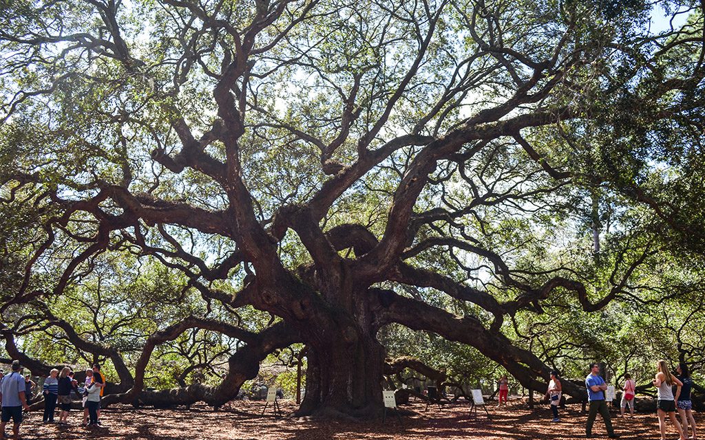 Charleston, South Carolina
