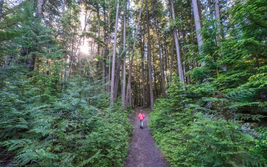Glacier National Park - Sperry Trail in Glacier National Park