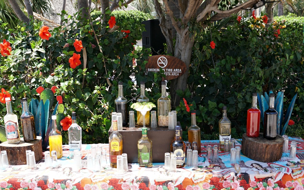 Tequila Tasting Class at Sunscape Puerto Vallarta