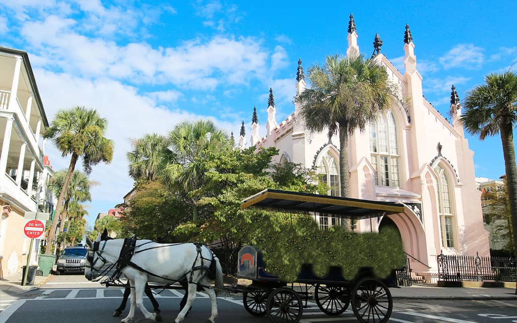 Six Ways to Really Get to Know Charleston