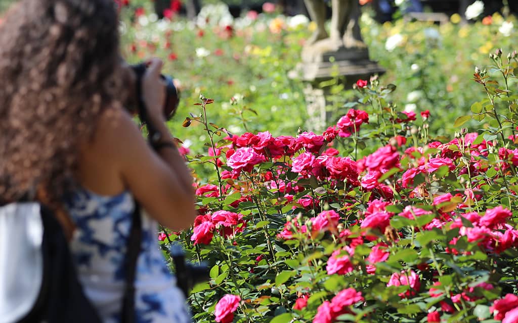 Stop to smell the roses
