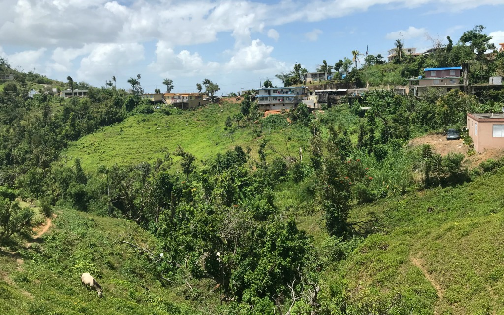 Ancestry Tourism Genealogy Research Gurabo Puerto Rico-Kirsten Maxwell Travelocity