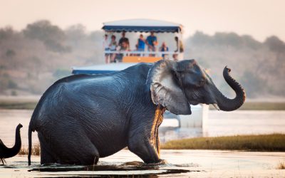 8 Travel Experiences That Definitely Call for a Tour Guide