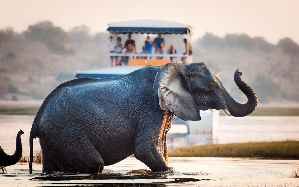 8 Travel Experiences That Definitely Call for a Tour Guide