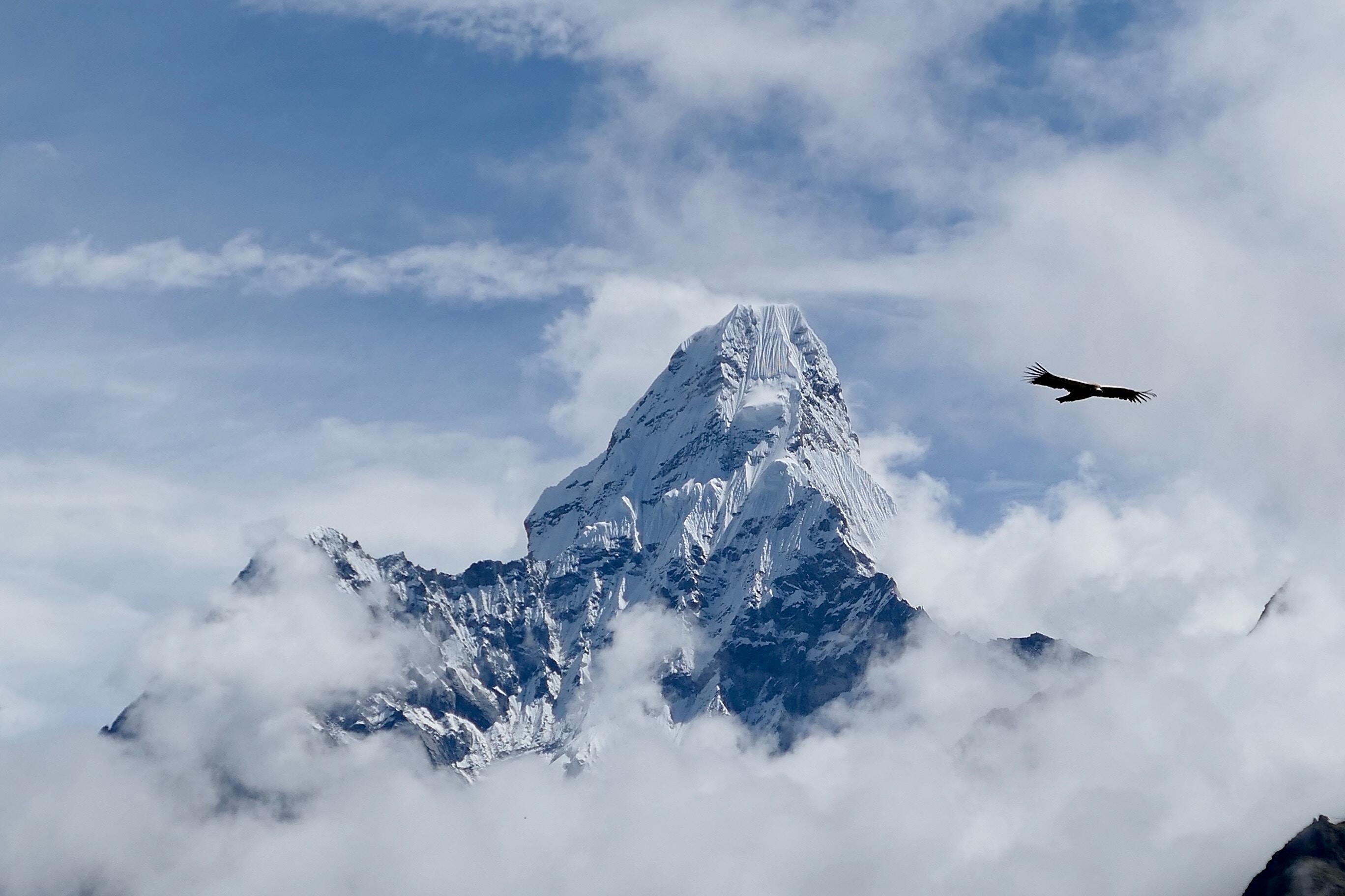 nepal everest flight