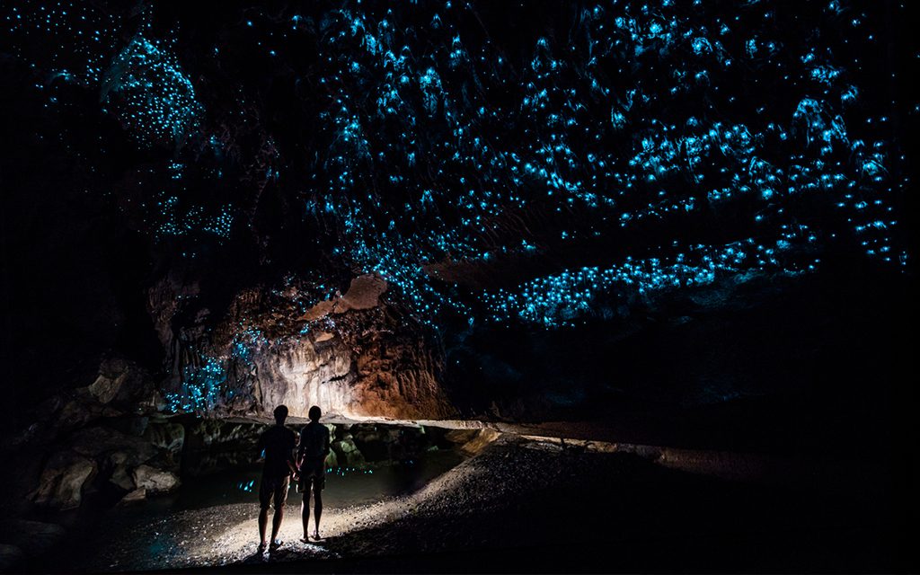 glow worms above two cave explorers in new zealand