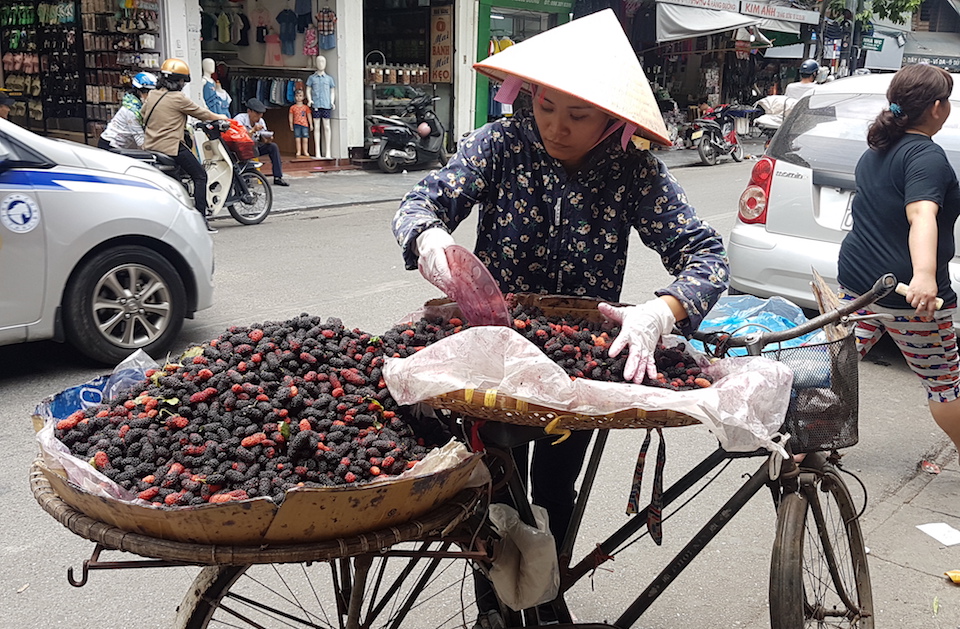Must-visit Vietnam: Hanoi