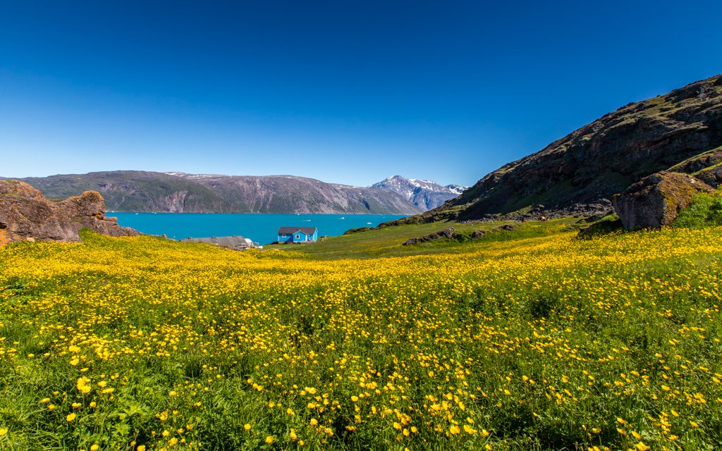 Amazing hotel arrivals - Qassiarsuk, Greenland