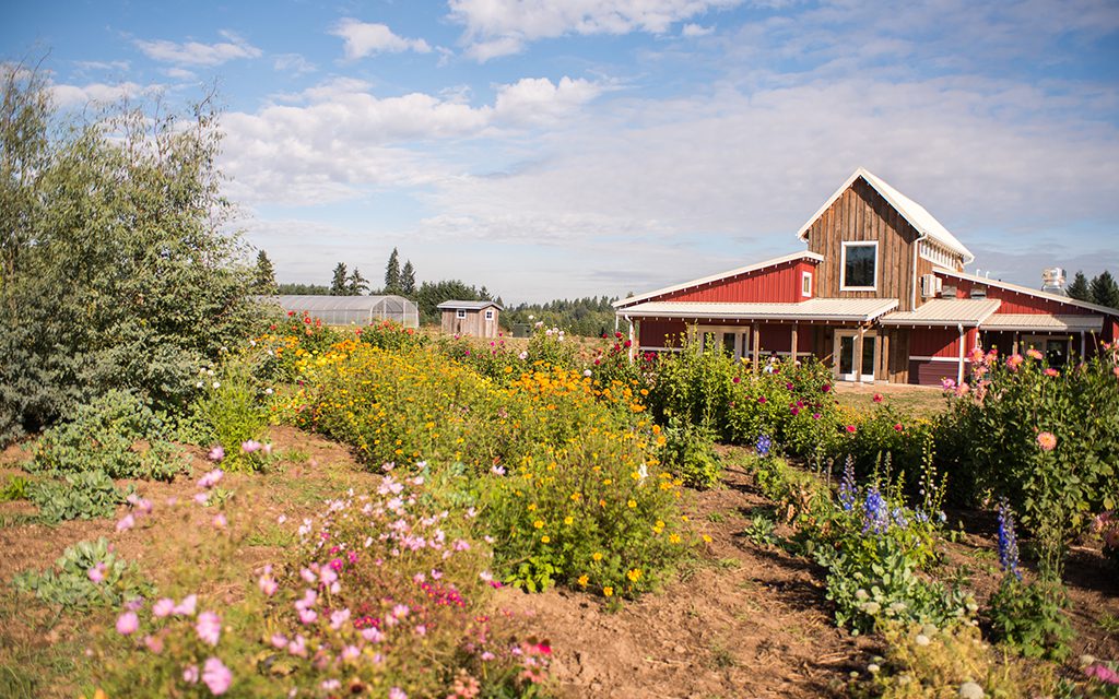 portland day trips