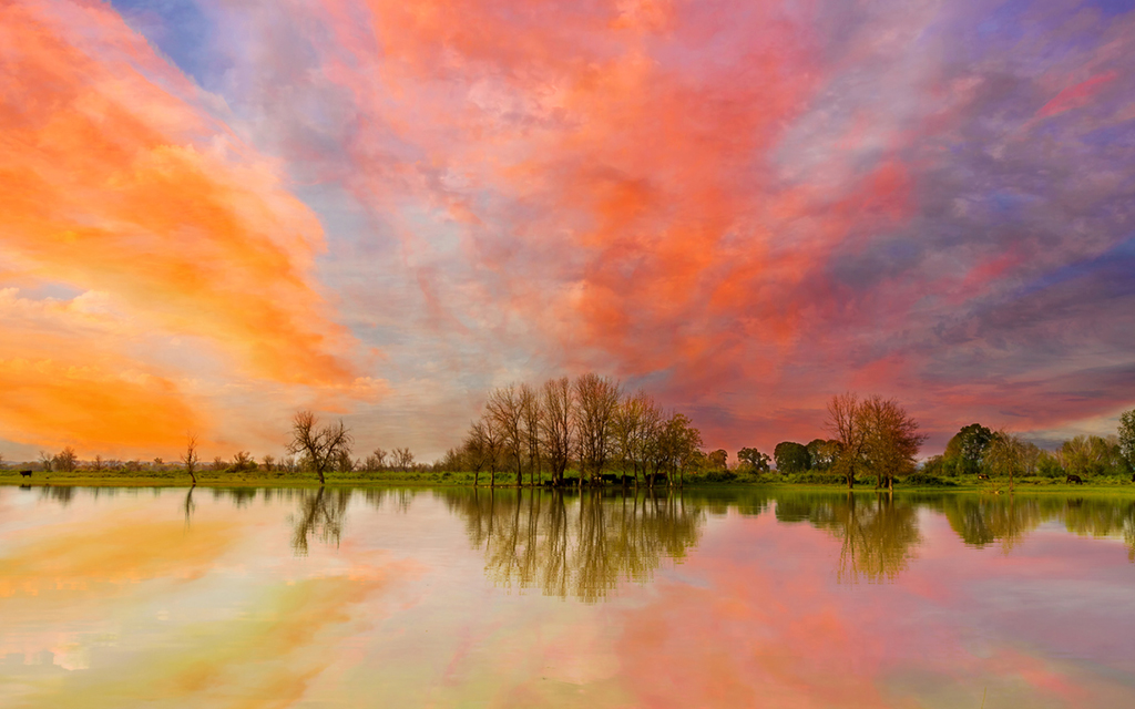 8 Perfect Portland Day Trips