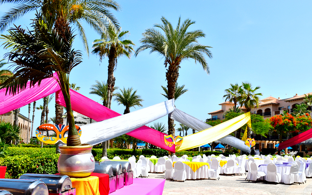 palm trees wrapped in colorful bands