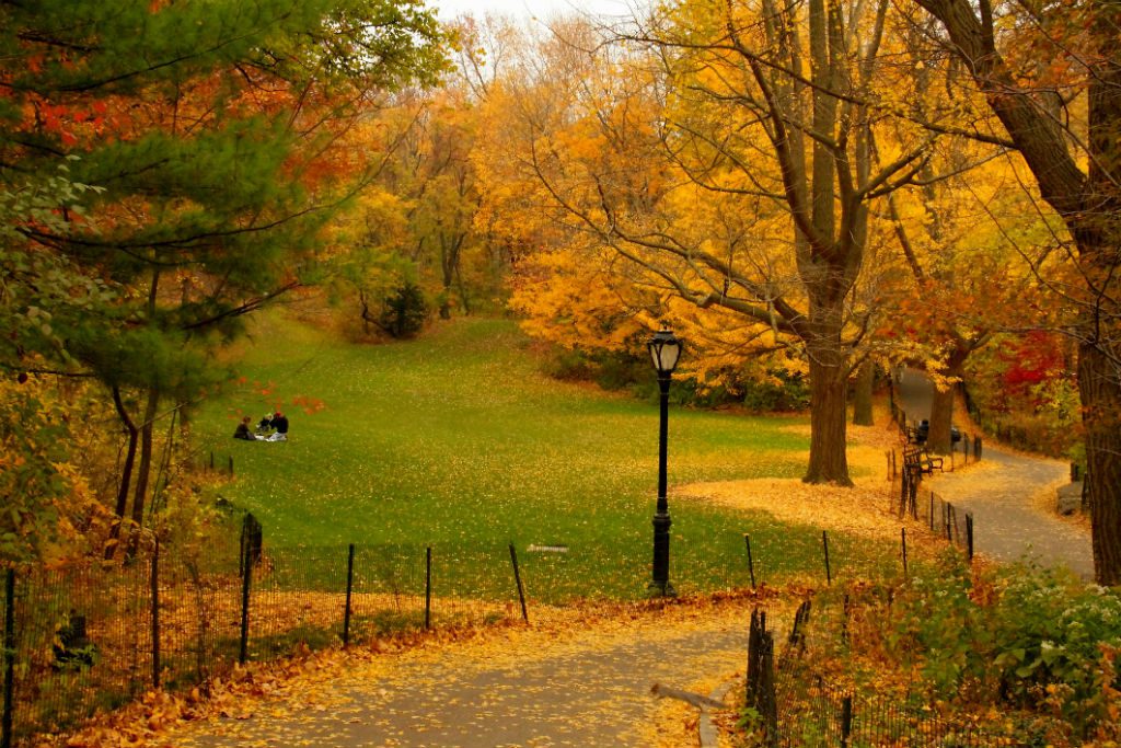 Central Park, NYC, New York, autumn